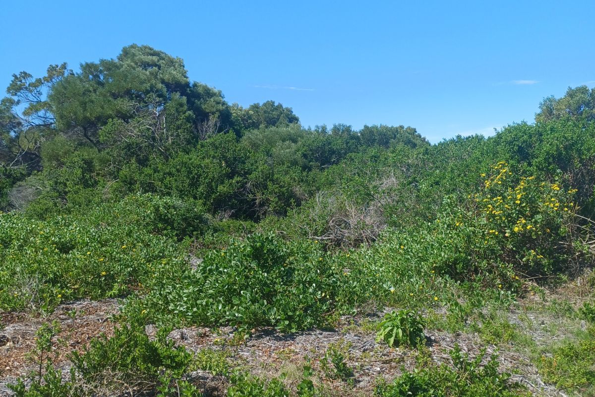 Vacant Land Residential For Sale in St Francis On Sea Phase I - Photo 3