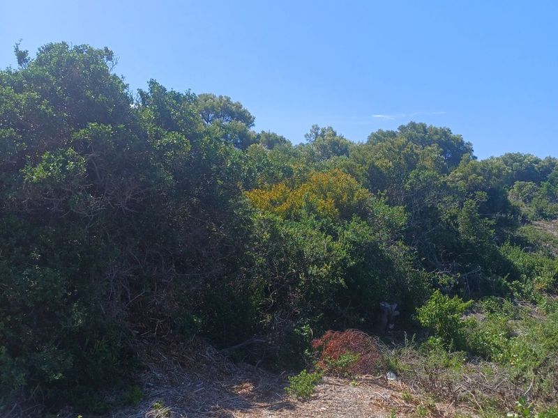 Vacant Land Residential For Sale in St Francis On Sea Phase I - Photo 4