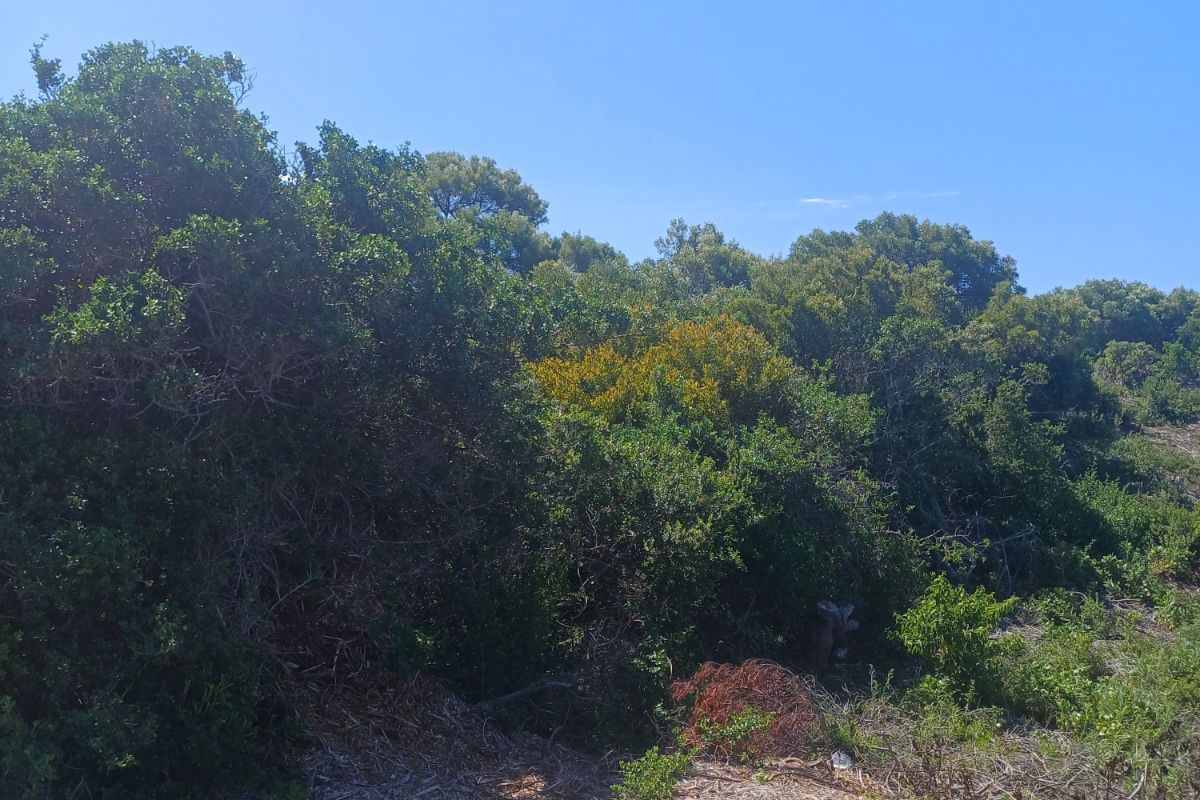 Vacant Land Residential For Sale in St Francis On Sea Phase I - Photo 4