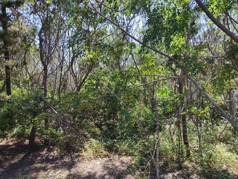 Vacant Land Residential For Sale in Westering - Photo 3