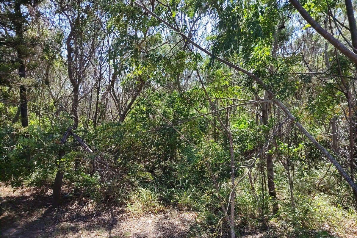 Vacant Land Residential For Sale in Westering - Photo 3