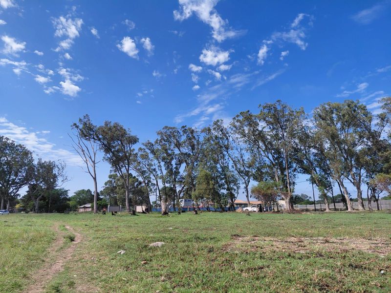 Vacant Land Residential For Sale in Theescombe - Photo 3