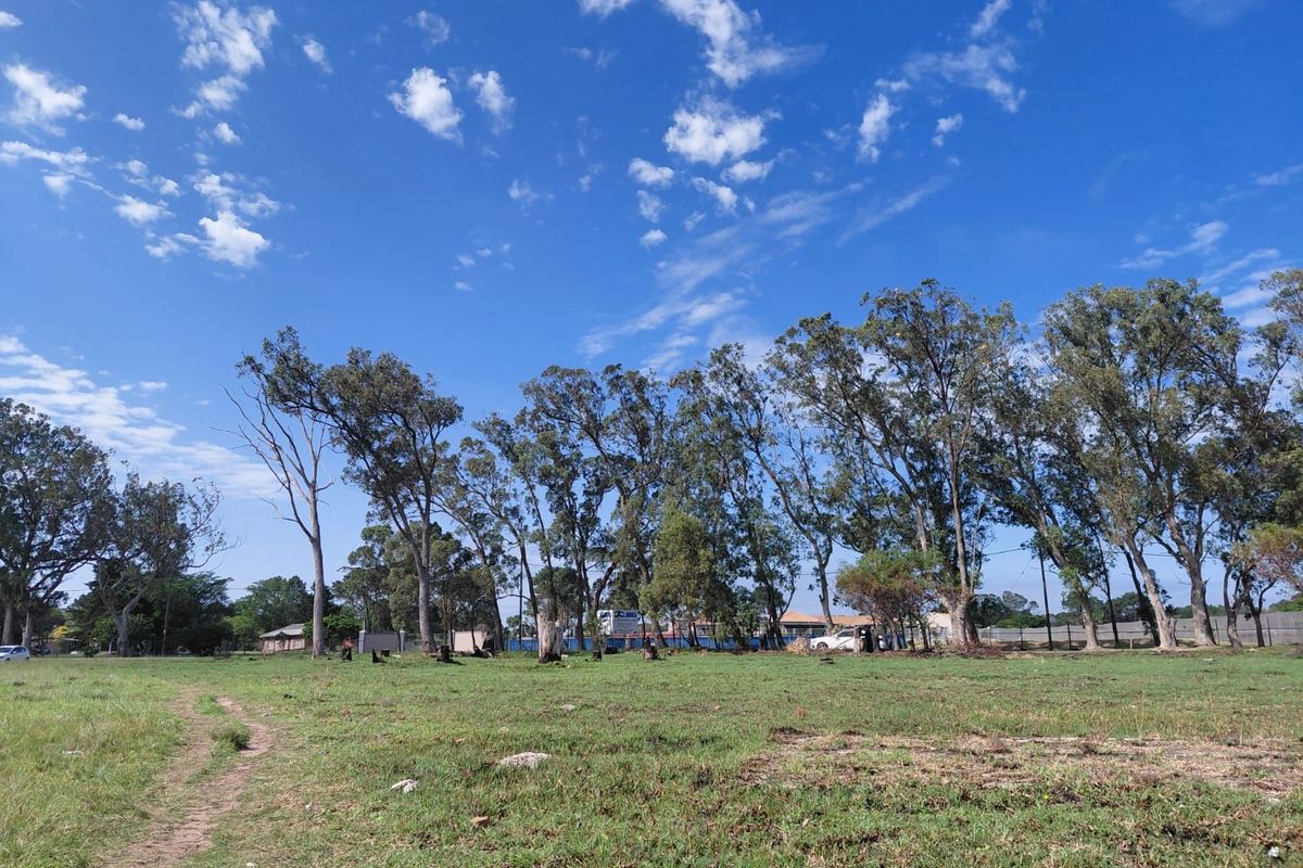 Vacant Land Residential For Sale in Theescombe - Photo 3