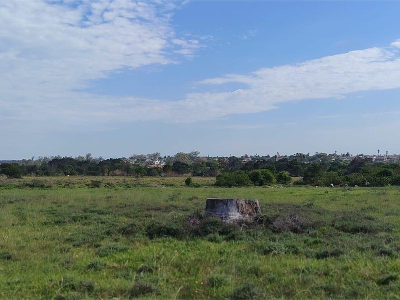 Vacant Land Residential For Sale in Theescombe - Photo 9