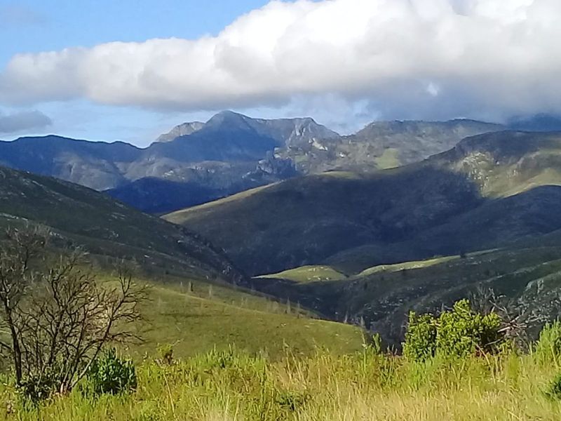 Farm For Sale in Mossel Bay Rural - Photo 7