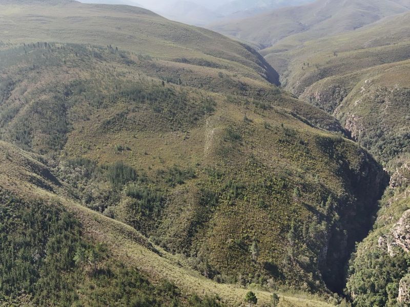 Farm For Sale in Mossel Bay Rural - Photo 8