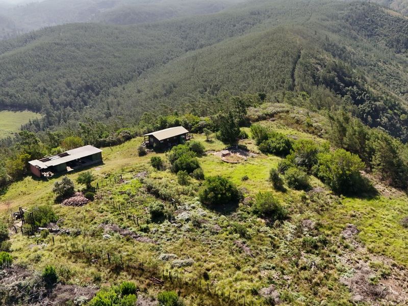 Farm For Sale in Mossel Bay Rural - Photo 4