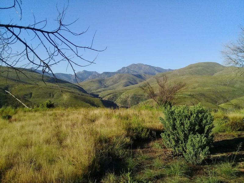 Farm For Sale in Mossel Bay Rural - Photo 9