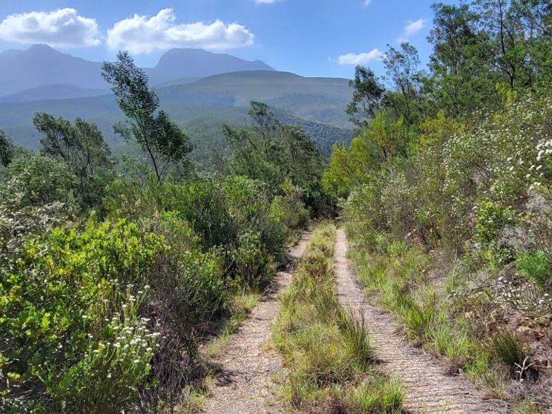 Farm For Sale in Mossel Bay Rural - Photo 3