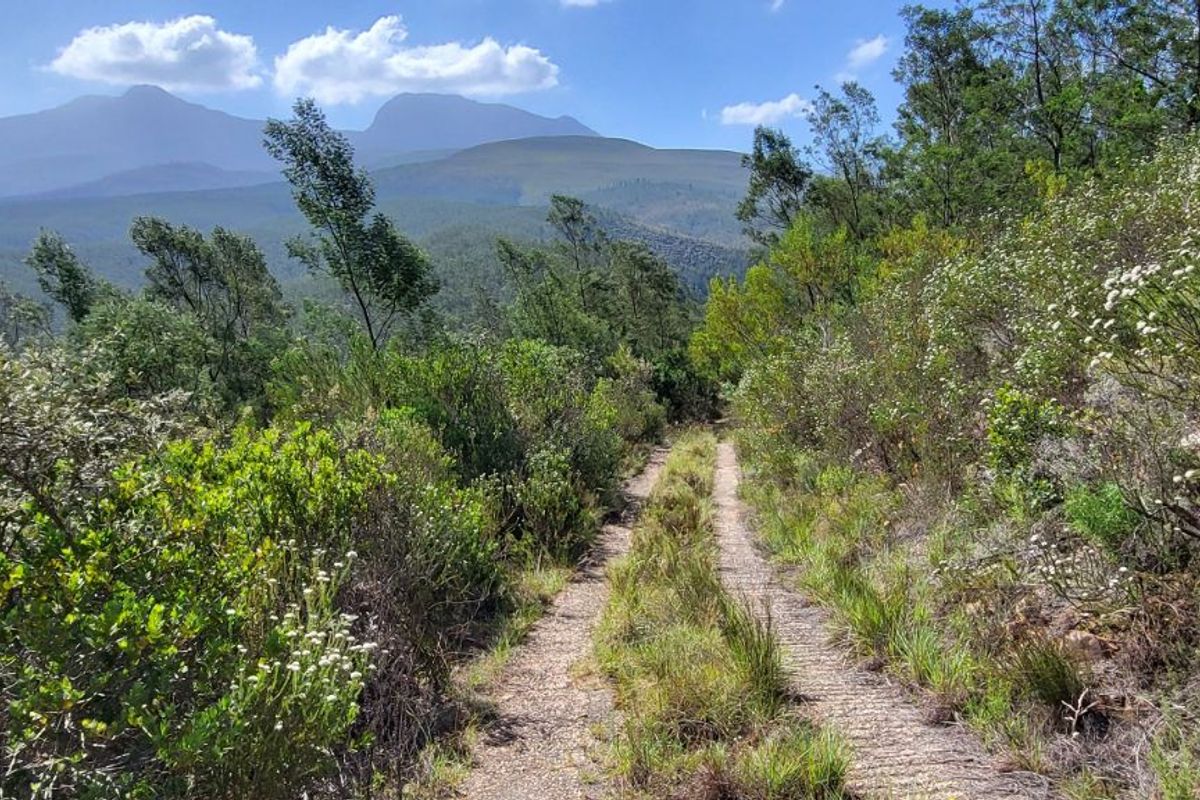 Farm For Sale in Mossel Bay Rural - Photo 3