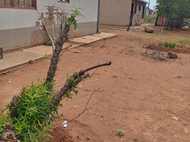 House For Sale in Geluksoord - Photo 9