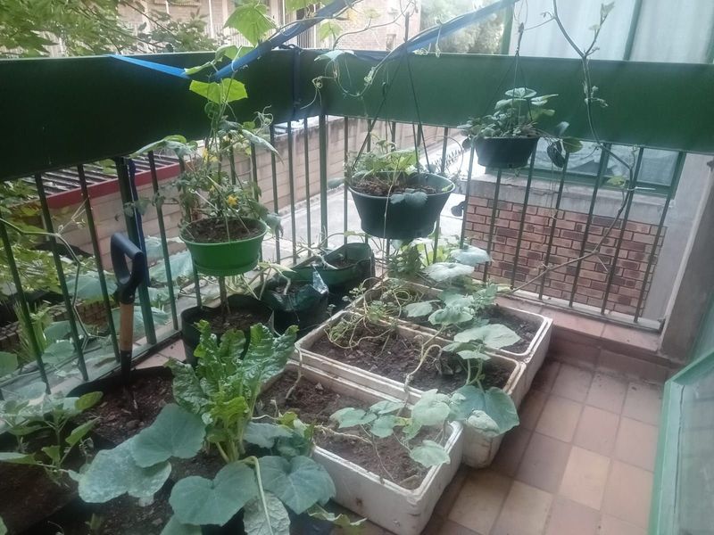 Apartment For Sale in Sunnyside - Photo 8