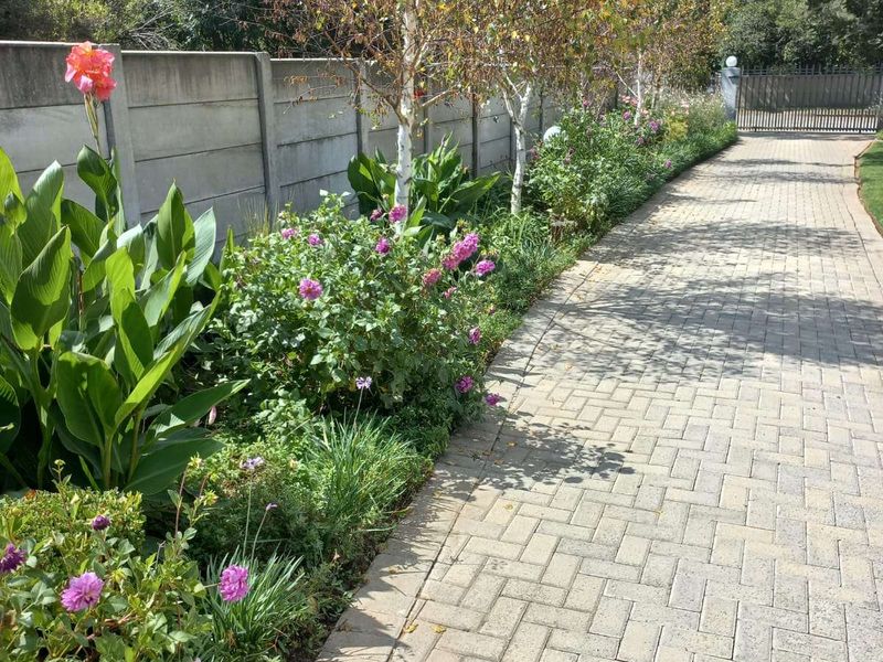 House For Sale in Senekal Central - Photo 2