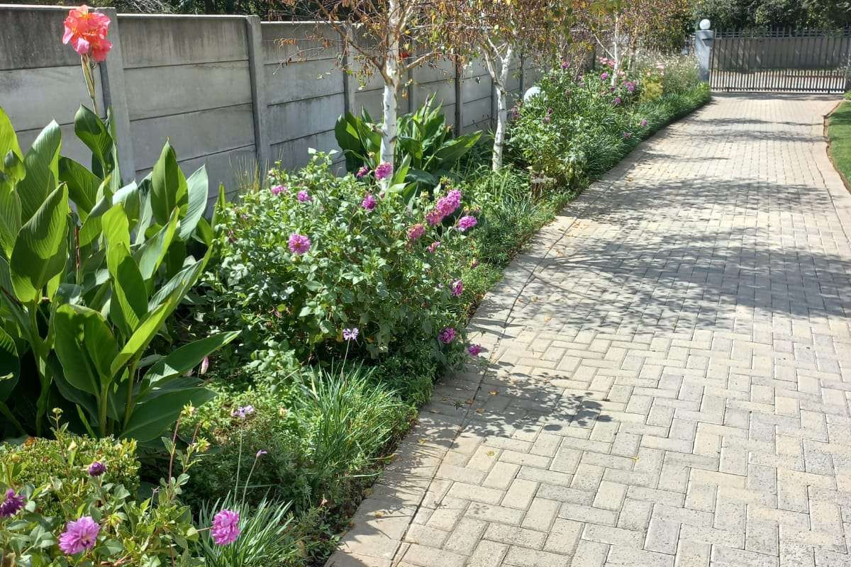 House For Sale in Senekal Central - Photo 2