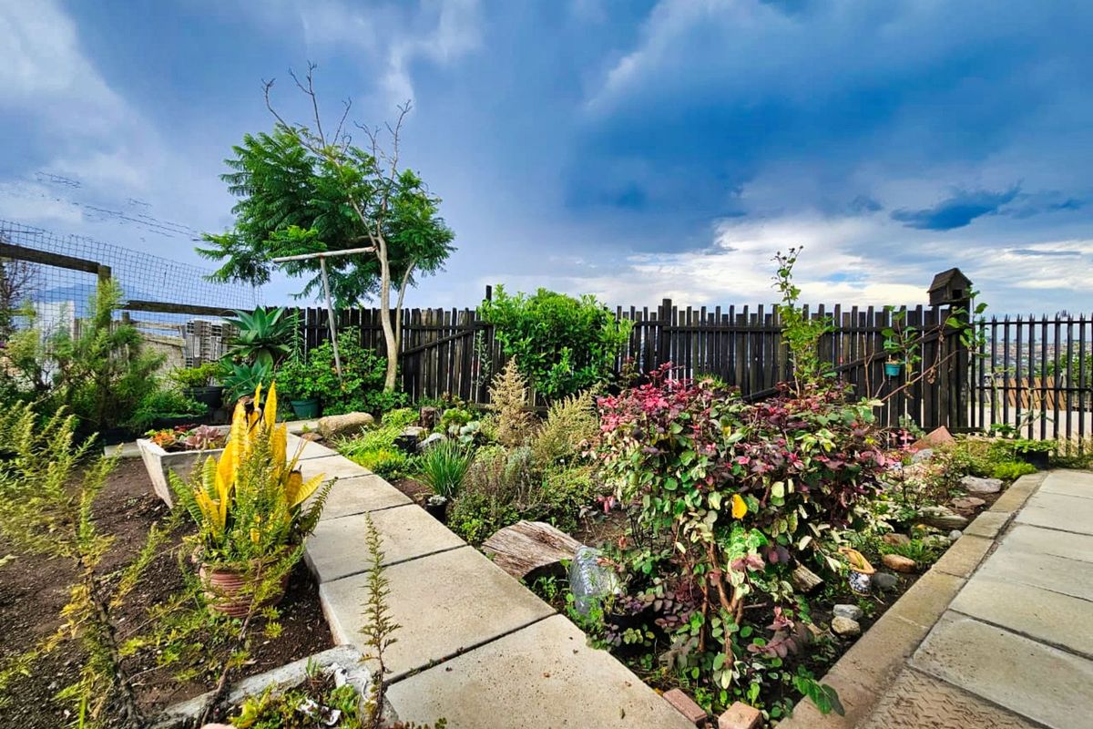 House For Sale in Pacaltsdorp - Photo 2