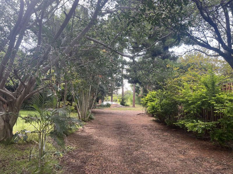 Farm For Sale in Mookgopong Central - Photo 5