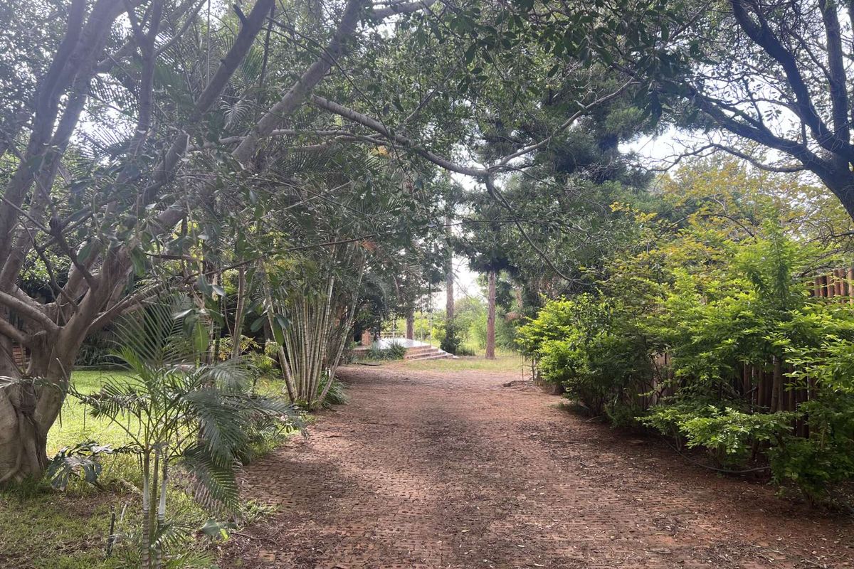 Farm For Sale in Mookgopong Central - Photo 5