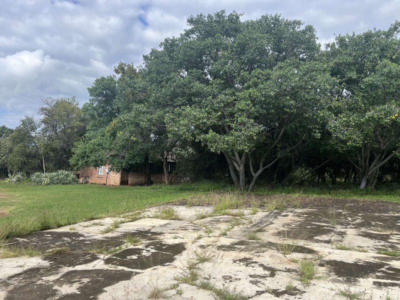 Farm For Sale in Mookgopong Central - Photo 9