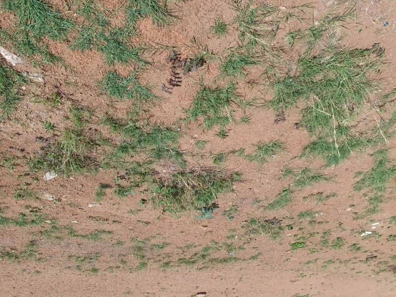 Vacant Land Residential For Sale in Mabopane Central - Photo 2