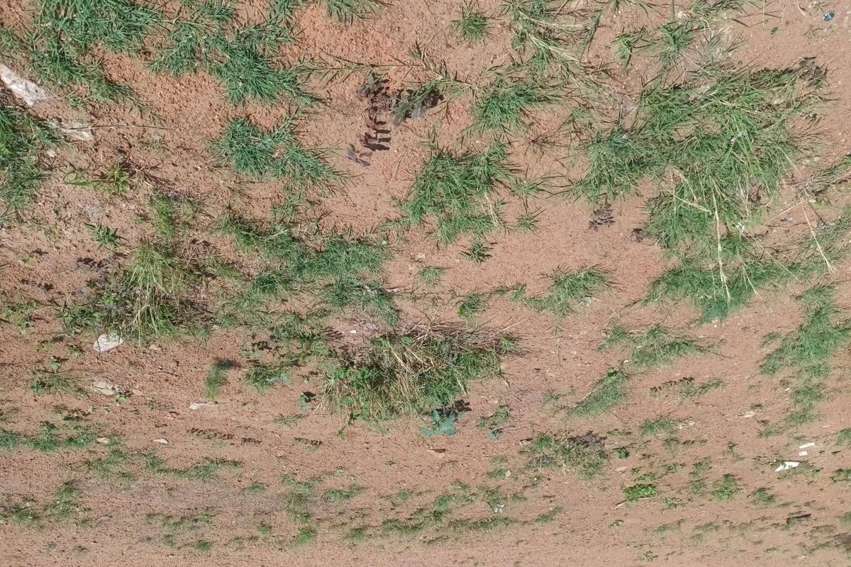 Vacant Land Residential For Sale in Mabopane Central - Photo 2