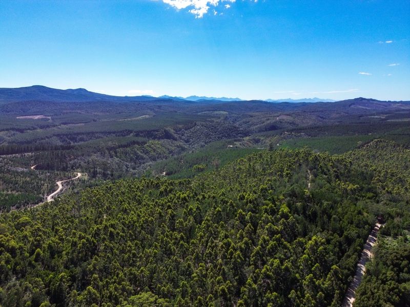 Farm For Sale in Knysna Rural - Photo 3