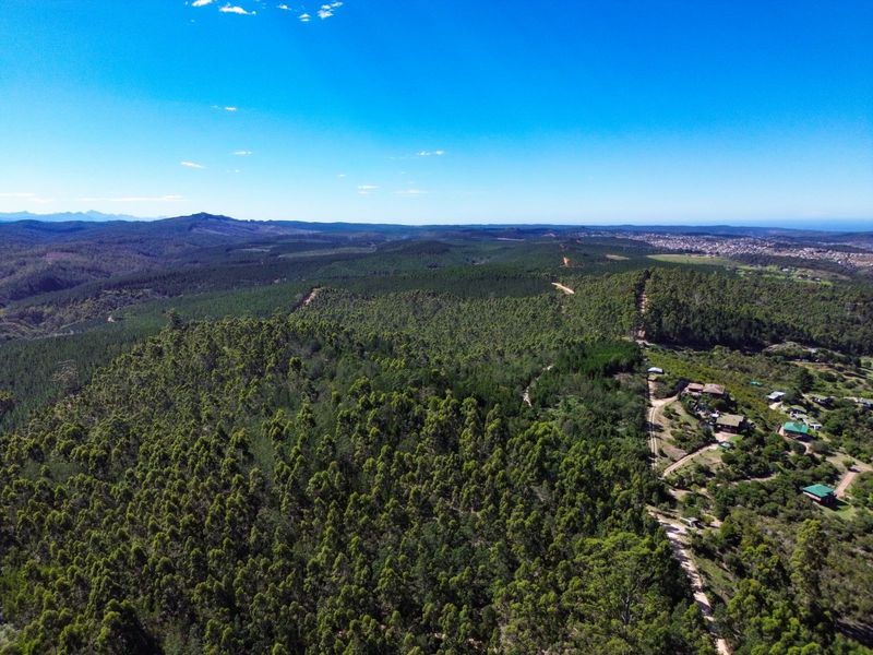 Farm For Sale in Knysna Rural - Photo 9