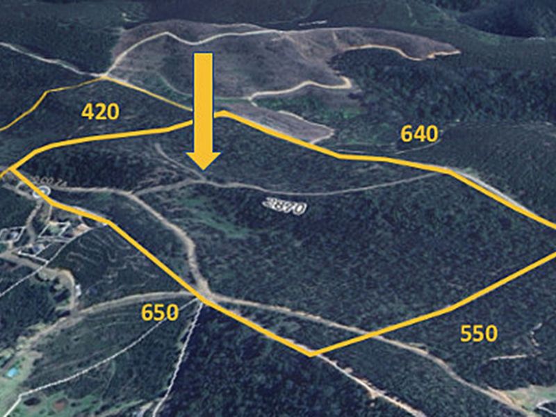 Farm For Sale in Knysna Rural - Photo 6