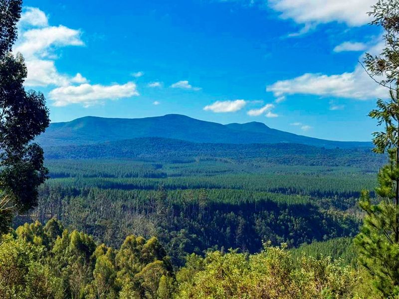 Farm For Sale in Knysna Rural - Photo 5