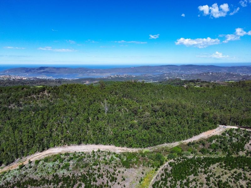 Farm For Sale in Knysna Rural - Photo 4