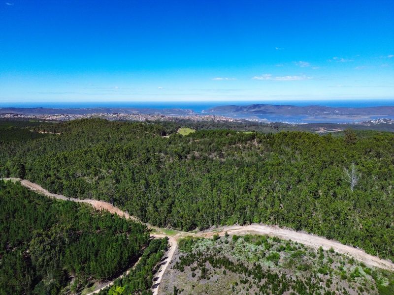 Farm For Sale in Knysna Rural - Photo 2