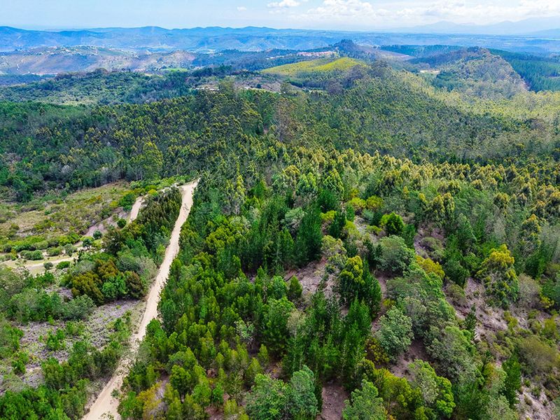 Farm For Sale in Knysna Rural - Photo 10
