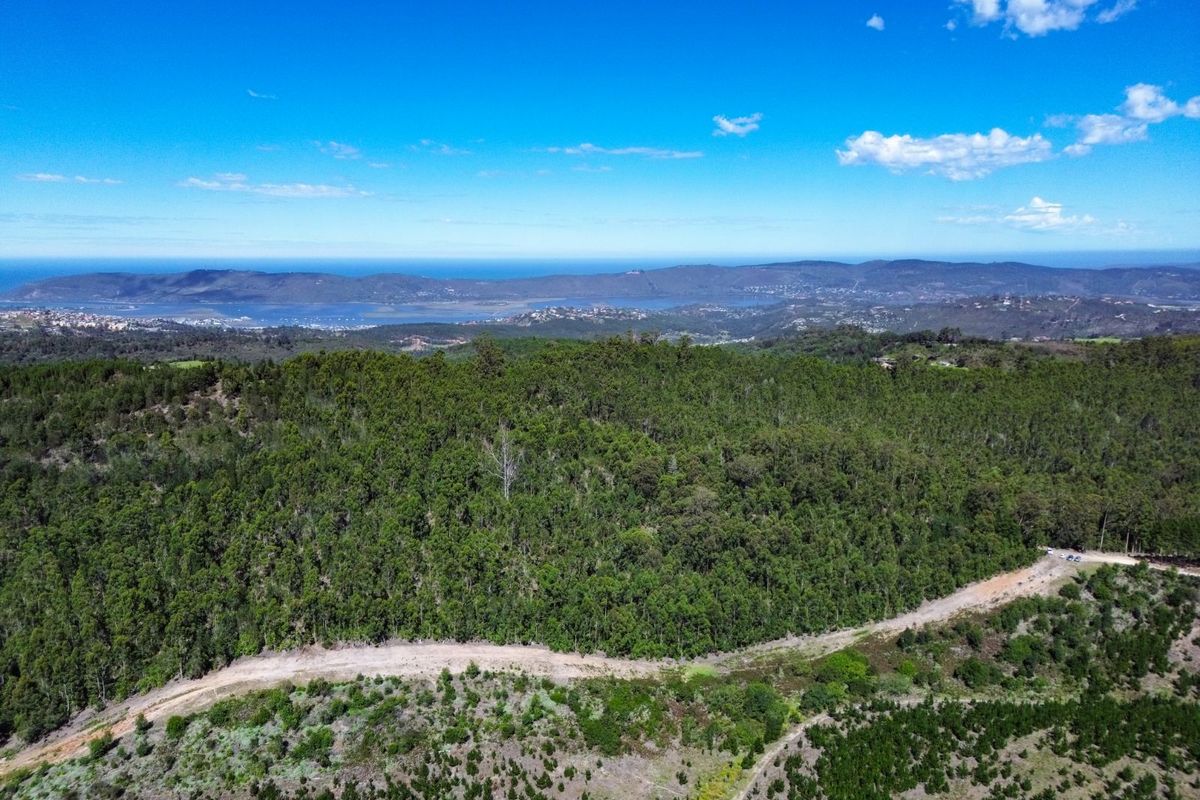 An elevated aerial view showcasing the expansive landscape, dense forest, and distant coastal scenery surrounding the property.
