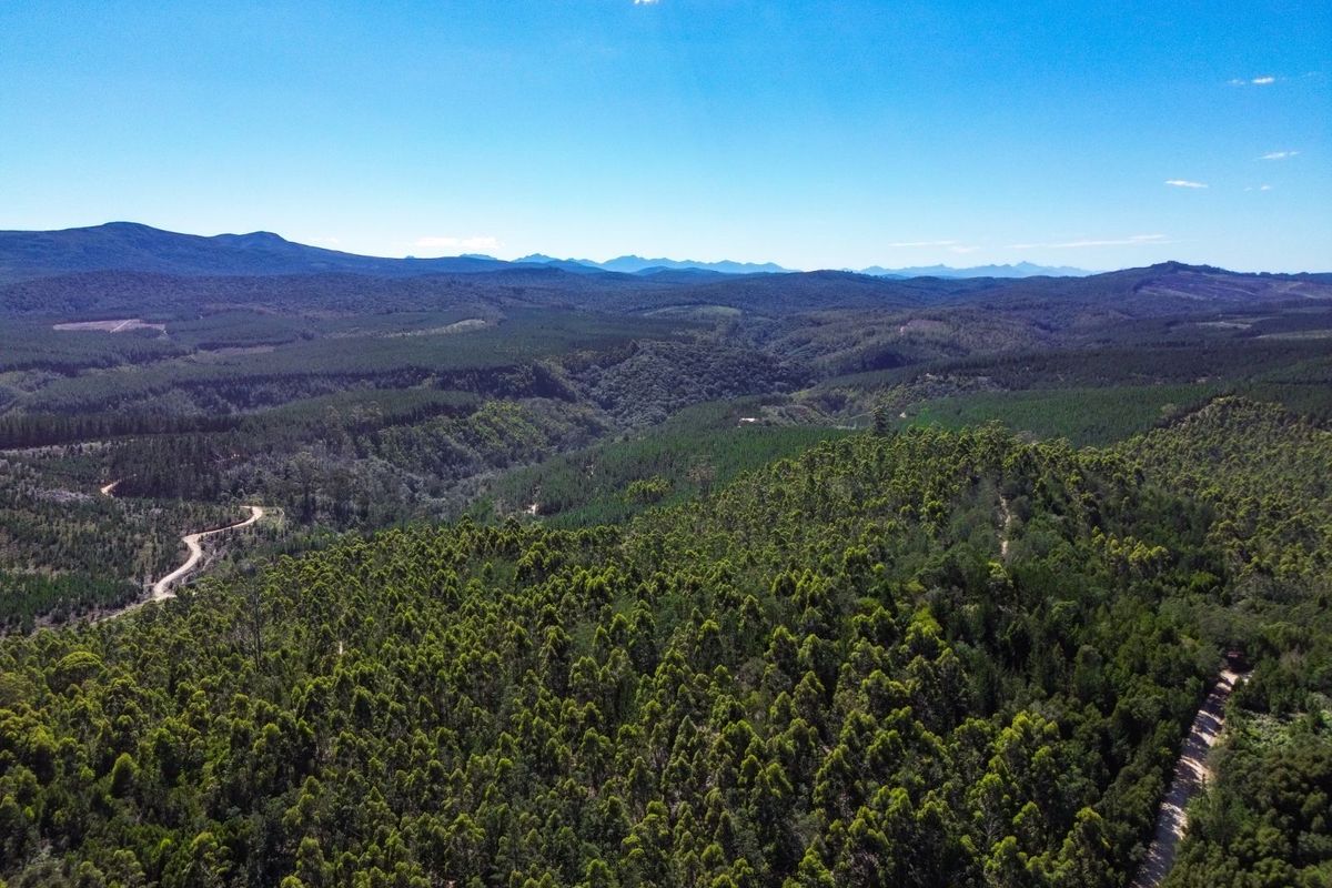 An expansive aerial view of the farm property, showcasing vast forested landscapes, rolling hills, and winding access roads under a clear blue sky.