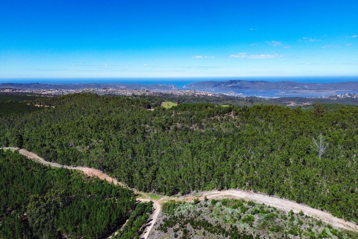 An expansive aerial view of the farm property, showcasing dense forest terrain, dirt access roads, and a distant coastal landscape.