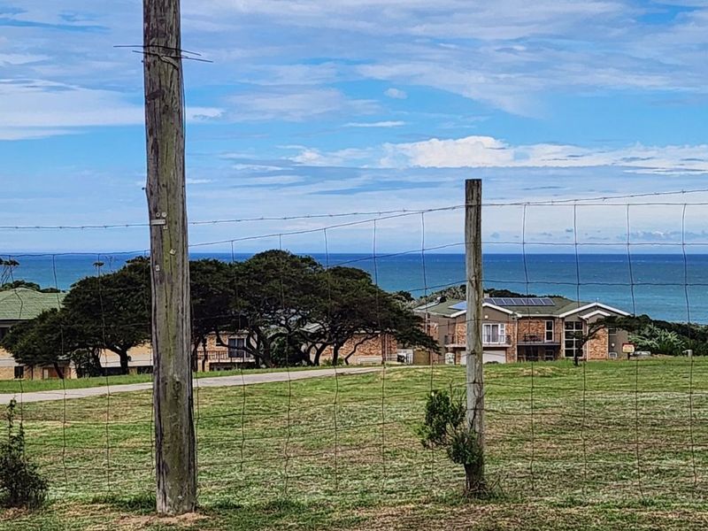 House For Sale in Glen Eden - Photo 4