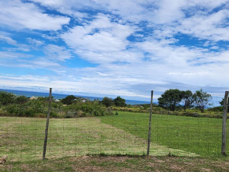 House For Sale in Glen Eden - Photo 8