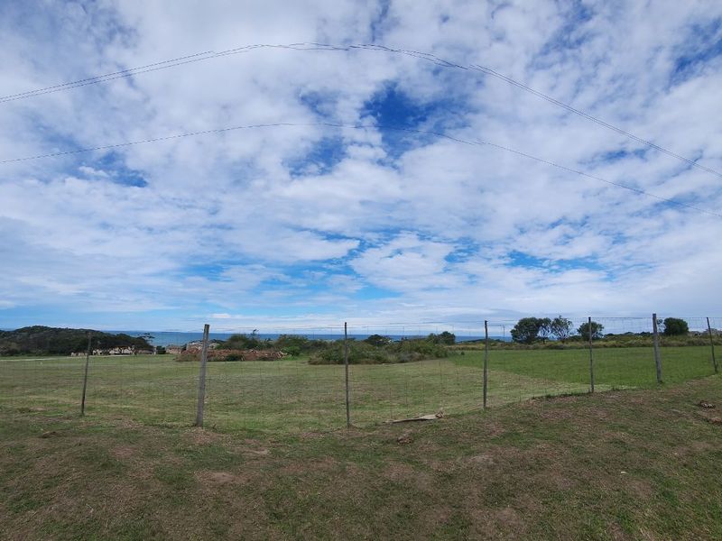 House For Sale in Glen Eden - Photo 7