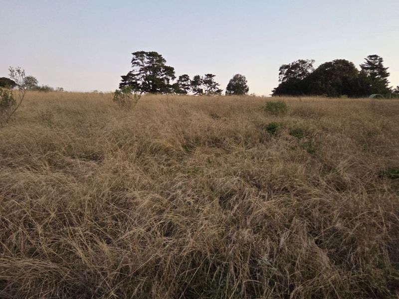 Vacant Land Residential For Sale in Harkerville AH - Photo 9