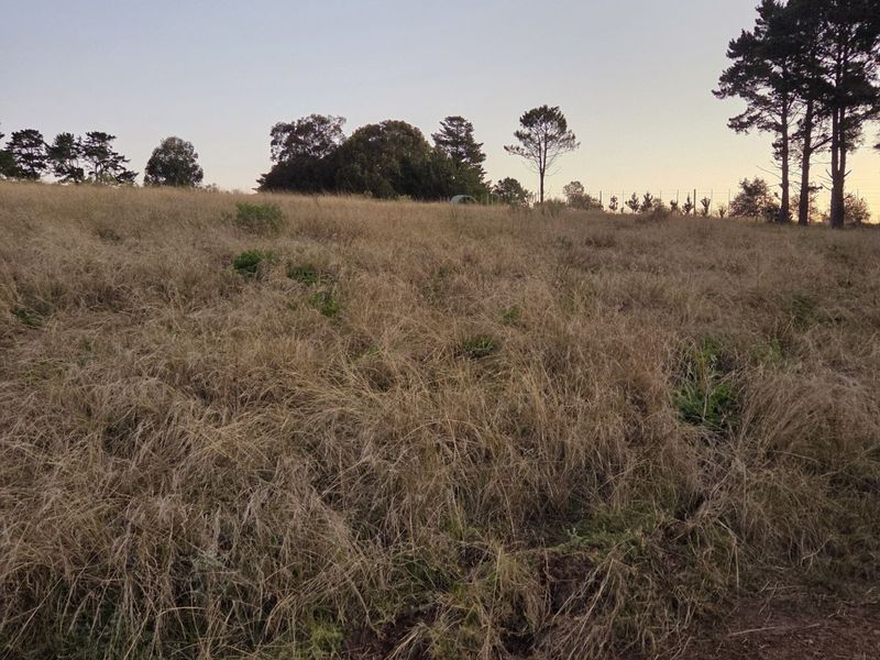 Vacant Land Residential For Sale in Harkerville AH - Photo 7