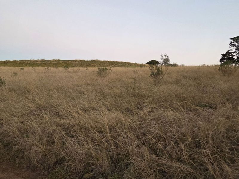 Vacant Land Residential For Sale in Harkerville AH - Photo 8