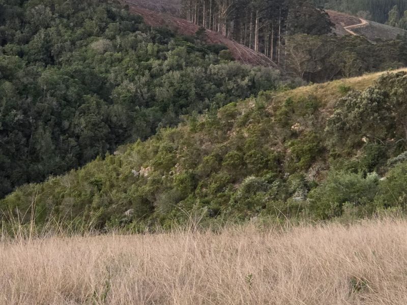 Vacant Land Residential For Sale in Harkerville AH - Photo 6