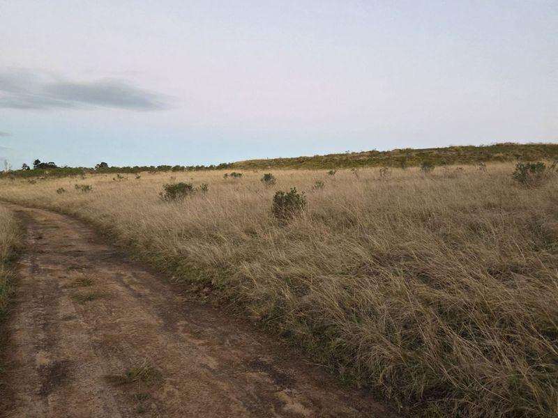 Vacant Land Residential For Sale in Harkerville AH - Photo 10