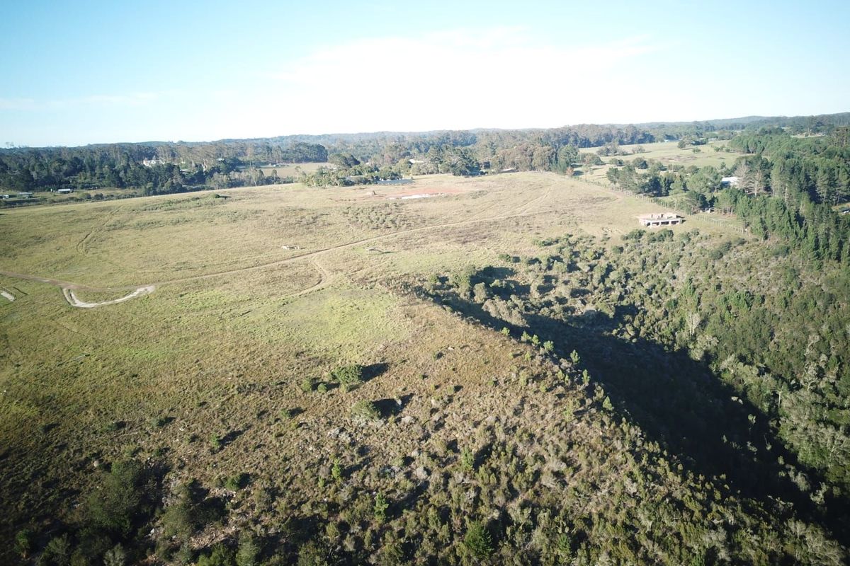 Vacant Land Residential For Sale in Harkerville AH - Photo 3