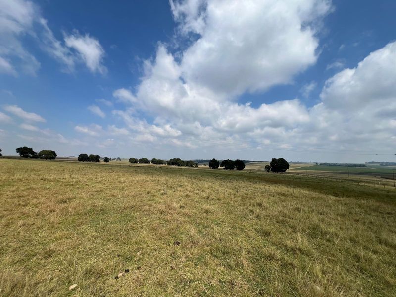 Farm For Sale in Ermelo Central - Photo 2