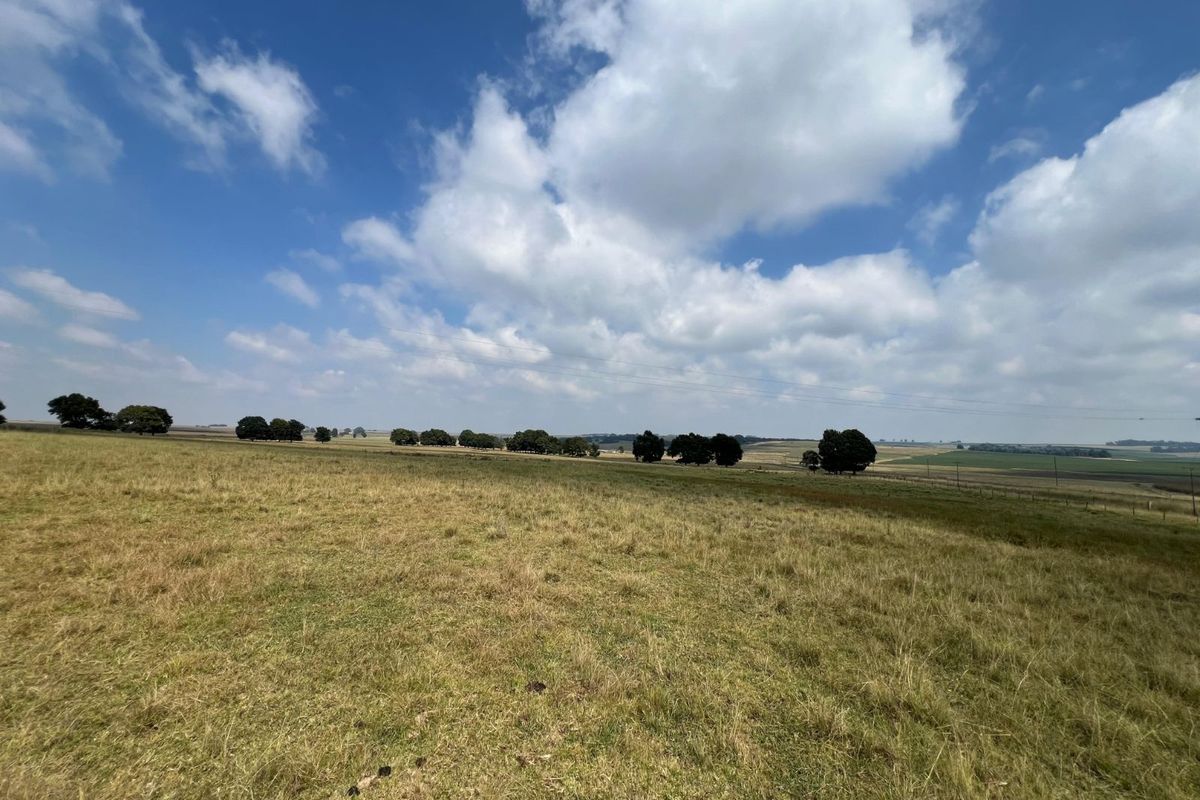 Farm For Sale in Ermelo Central - Photo 2