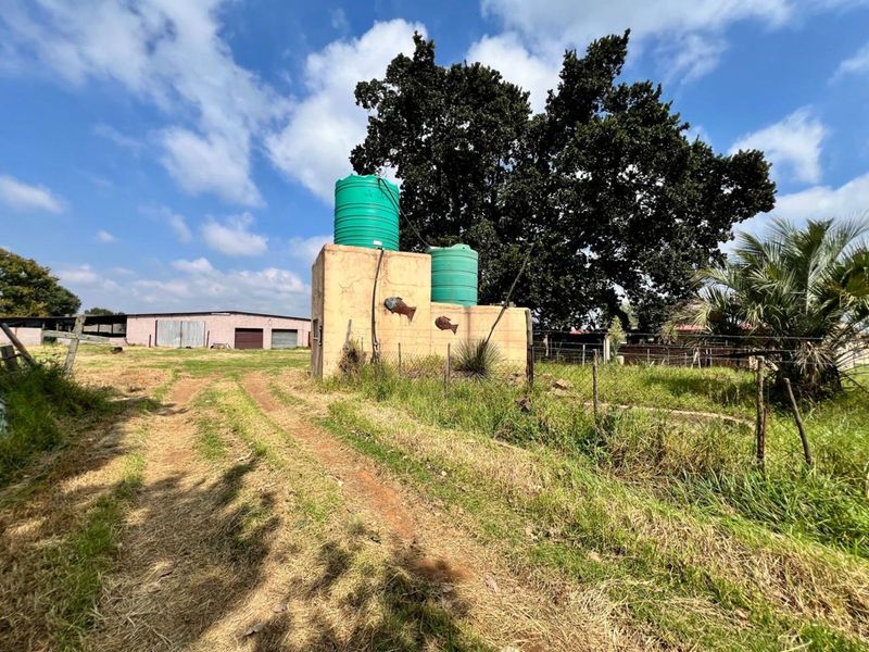 Farm For Sale in Ermelo Central - Photo 9