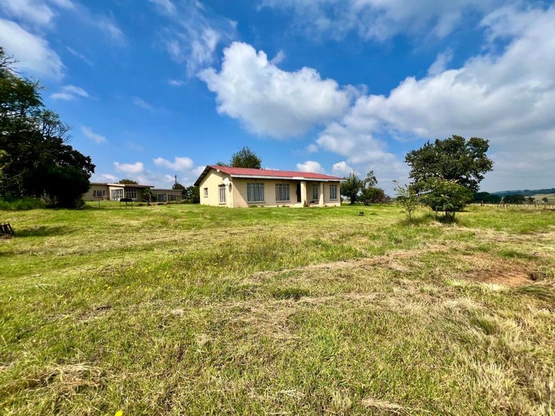 Farm For Sale in Ermelo Central - Photo 7