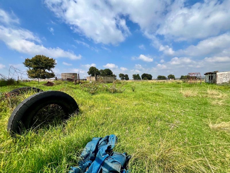 Farm For Sale in Ermelo Central - Photo 5