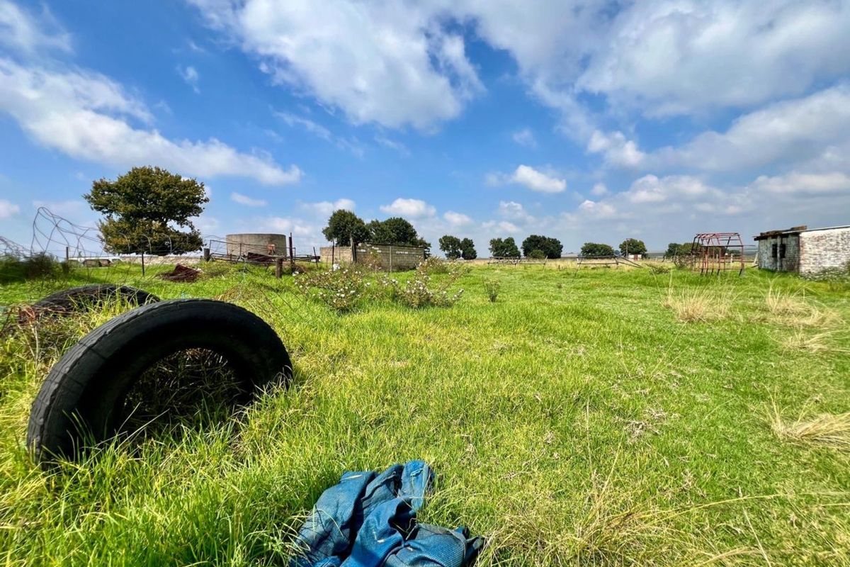 Farm For Sale in Ermelo Central - Photo 5