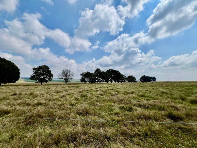 Farm For Sale in Ermelo Central - Photo 6